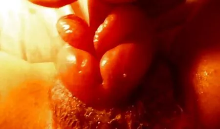 Bem-vindo ao < url> xvideos pornos gratuitos