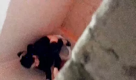 Ser vídeo pornô download grátis