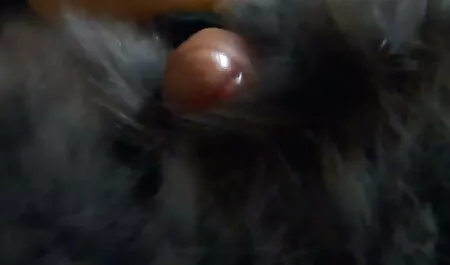Mais video de sexo brasileiro gratuito informações