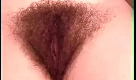 Sasha bree assistir canal porno gratis