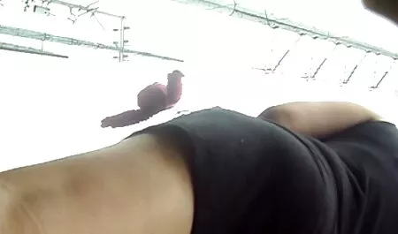 Bem vindas quero ver um filme pornô gratuito
